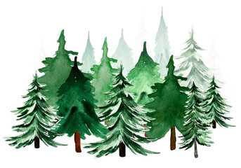 Christmas trees and pines in the forest watercolor illustration. Template for decorating designs and illustrations.