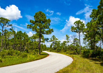 Webb Lake Road in Babcock Webb Wildlife Management Area in Punta Gorda Florida USA