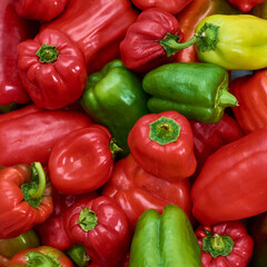 A solid background of sweet Bulgarian peppers. Red, green and orange.