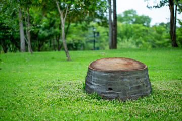 Tree natural podium for product show