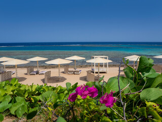 Fototapeta premium Panoramic view of sunny beach in Marsa Alam, Egypt