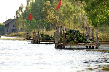 Heaps of river weeds in piles on piers on Inle Lake in Nyaungshwe, Myanmar