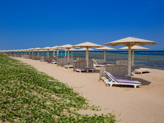 Obraz premium Baeutiful beach with umbrellas and sunbeds in the Red sea. Marsa Alam. Egypt