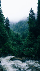 River in the mountains, Foggy forest lake