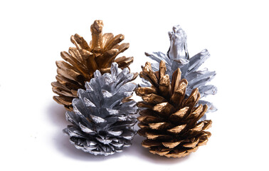 christmas pine cones isolated