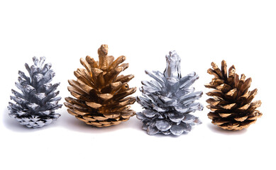 christmas pine cones isolated