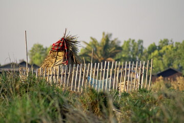 Small thatched shelter in a field by Inle Lake in Nyaungshwe, Myanmar