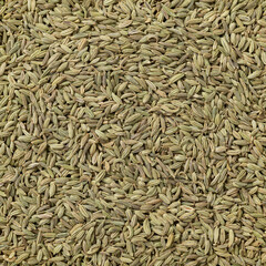 Close up background of fennel seeds