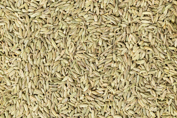 Close up background of fennel seeds