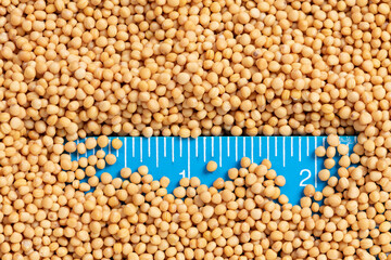 Macro mustard seed background of many small yellow round balls