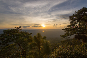 The small trees and a landscape of mountain ridges, sunset sun, sky, and clouds.  Location place Phu Kra Dung National park of Thailand