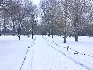 Fototapeta na wymiar snow covered walkway