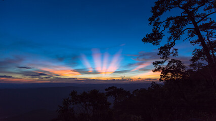 Panoramic twilight sky with silhoette trees at Phu Kra Dung National park of Thailand - obrazy, fototapety, plakaty