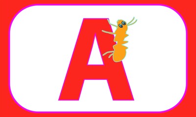 A for Ant