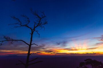 Fototapeta na wymiar The tree and a landscape of mountain ridges, sunset sky, and clouds. Location place Phu Kra Dung National park of Thailand. in vintage style