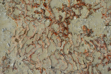 Pamukkale travertine texture. Wavy limestone textured deposits on terraces of carbonate minerals in...