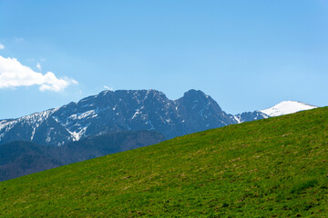 Łąka i góry Tatry