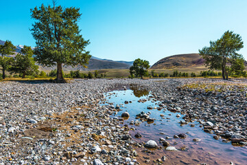 The Chagan-Uzun River, a tributary of the Chuya. Kosh-Agachsky district of the Altai Republic,...