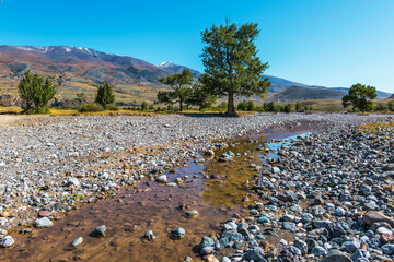 The Chagan-Uzun River, a tributary of the Chuya. Kosh-Agachsky district of the Altai Republic, Russia