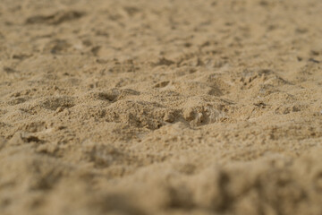 Fototapeta na wymiar Sand pit on Brighton beach