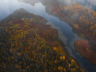 aerial photography of forest, forest and river landscape