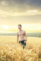 Homme sportif dans un champ de blé