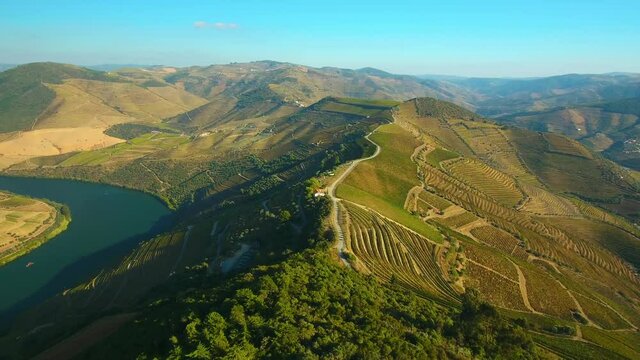 Douro - Paisagem geral das vinhas nas encostas do Douro  no concelho de S&atilde;o Jo&atilde;o da Pesqueira