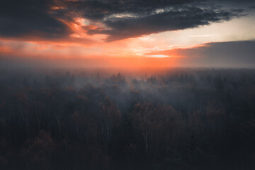 Obraz premium aerial photography of forest, forest and river landscape