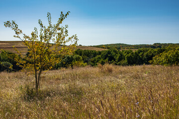 Beautiful photos of suburban autumn landscapes. Cherkasy region, Ukraine.