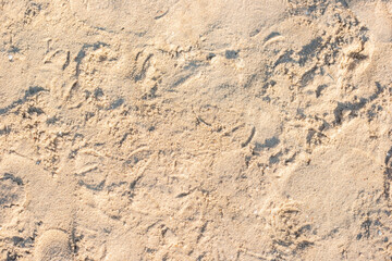 Background of a sandy beach under sunlight. Top view, flat lay