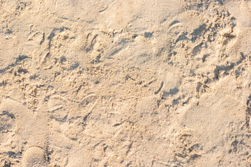 Background of a sandy beach under sunlight. Top view, flat lay