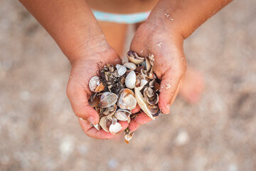 Seashells in the hands of a child on the beach. Top view, flat lay