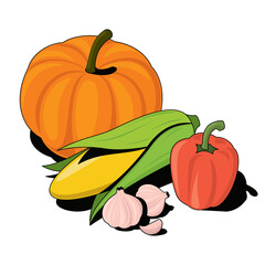 Pumpkin, corn, garlic, bell pepper. Vector 3d sketch line isometric, color icon illustration, flat style. Creative design idea and elements for infographics and website.