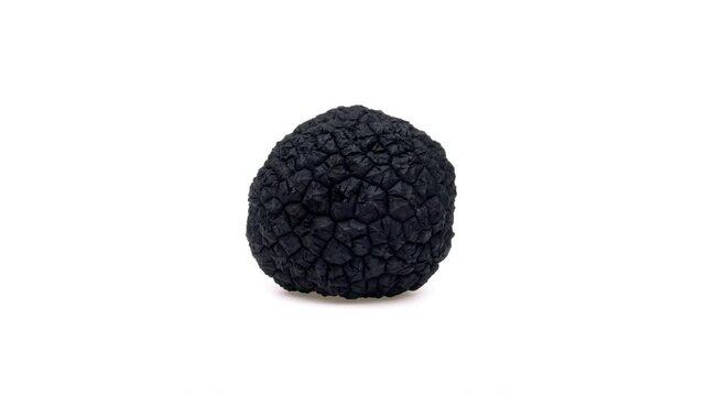 One black truffle mushroom is rotating on white background.