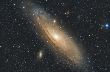 Andromeda Galaxy 