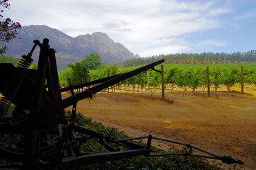 Breathtaking nature view onto winery, wine-growing areas, vineyard vines landscape scenery with...