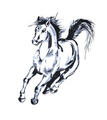 Horse stallion running mare