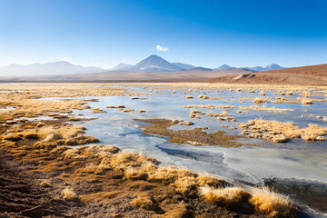 Chilean lagoon landscape, Chile