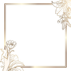 Obraz premium Square gold frame with flowers. Refined leaves and flowers on a white background. Hand holds a flower. Minimalism of shapes in a square frame and abstraction.Vector illustration.