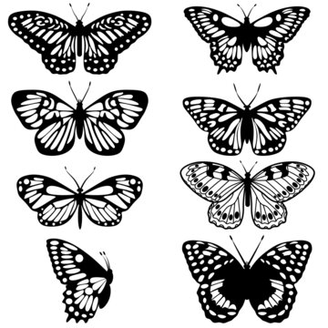 Butterflies collection svg vector illustration transparent 