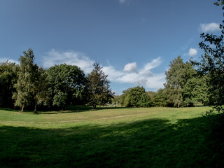LANDSCAPE IN THE PARK