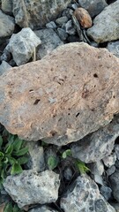 stone road zoom