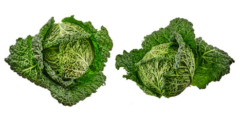 Savoy cabbage head isolated on white background.