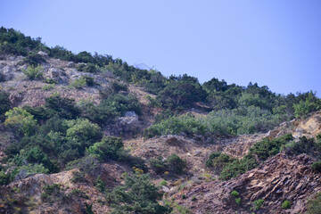 Bakhchisarai is a type of green spaces