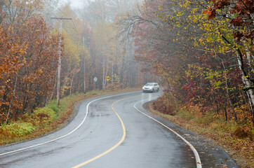 Fototapeta premium Forest road