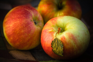 still life with three apples