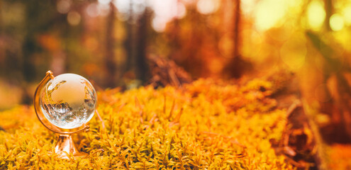 glass globe on autumn leaves