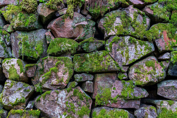 Old rock wall covered with green moss