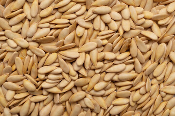 Dry organic melon seeds top view background