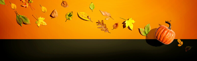 Autumn pumpkin with colorful leaves overhead view - flat lay